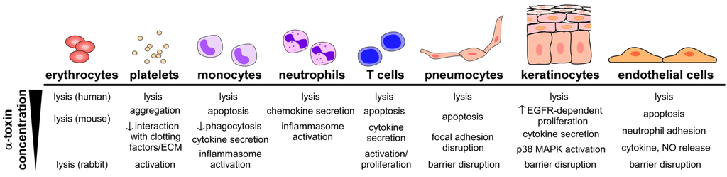 Toxins 05 01140 g002 1024