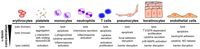 Toxins 05 01140 g002 200