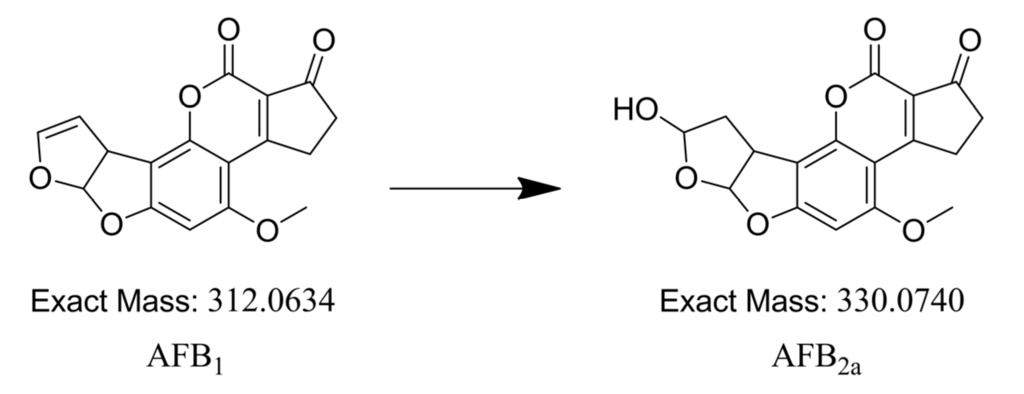 pdf ion