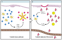 Toxins 05 01402 g002 200