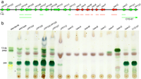 Toxins 05 01422 g003 200