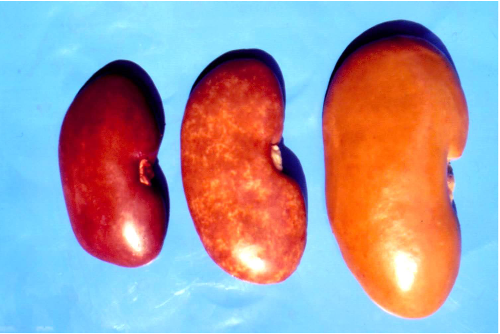 Toxins 05 01503 g001 1024