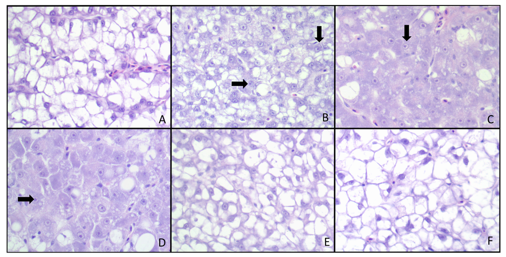 Toxins 05 01555 g001 1024