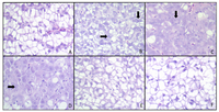 Toxins 05 01555 g001 200