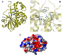 Toxins 05 01698 g002 200