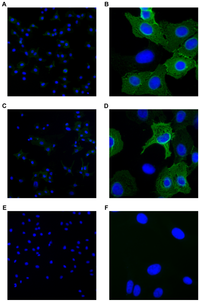 Toxins 05 02074 g002 200