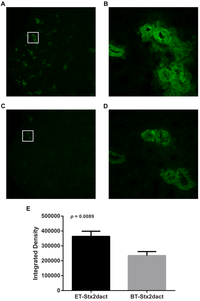Toxins 05 02074 g007 200