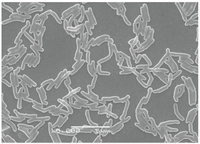 Toxins 05 02161 g001 200