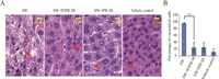 Toxins 05 02161 g007 200