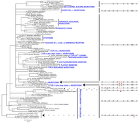 Toxins 05 02172 g001 200