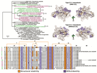 Toxins 05 02172 g002 200