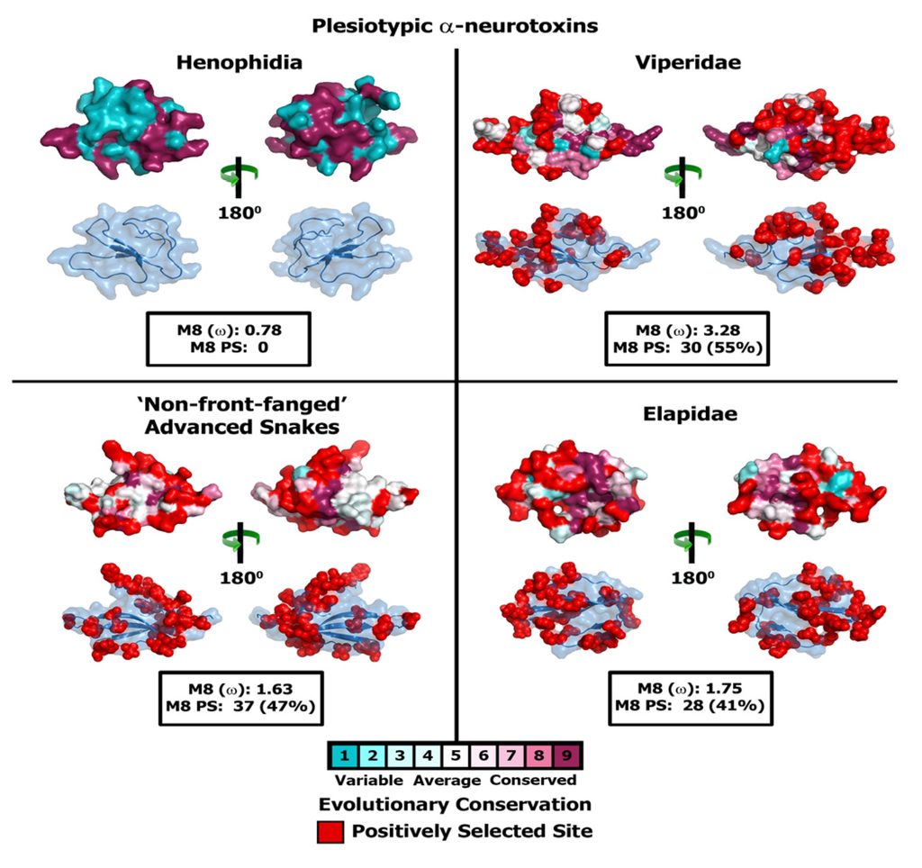 Toxins 05 02172 g003 1024