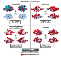 Toxins 05 02172 g003 200
