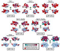 Toxins 05 02172 g004 200