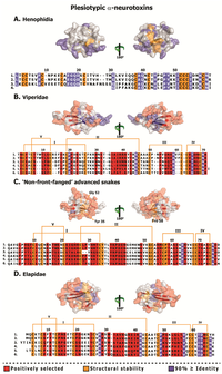 Toxins 05 02172 g006 200