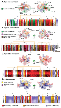 Toxins 05 02172 g007 200