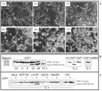 Toxins 05 02241 g002 200