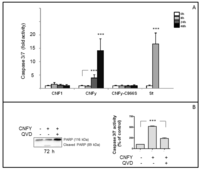 Toxins 05 02241 g003 200