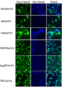 Toxins 05 02270 g003 200