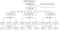 Toxins 05 02310 g007 200
