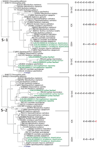 Toxins 05 02456 g003 200