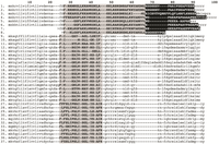 Toxins 05 02456 g004 200