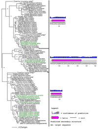 Toxins 05 02456 g005 200