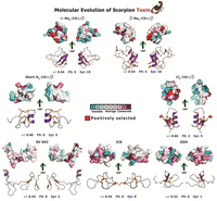 Toxins 05 02456 g006 200
