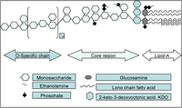Toxins 05 02589 g002 200