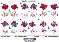 Toxins 05 02621 g003 200