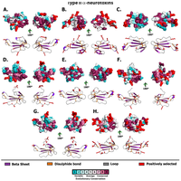 Toxins 05 02621 g005 200
