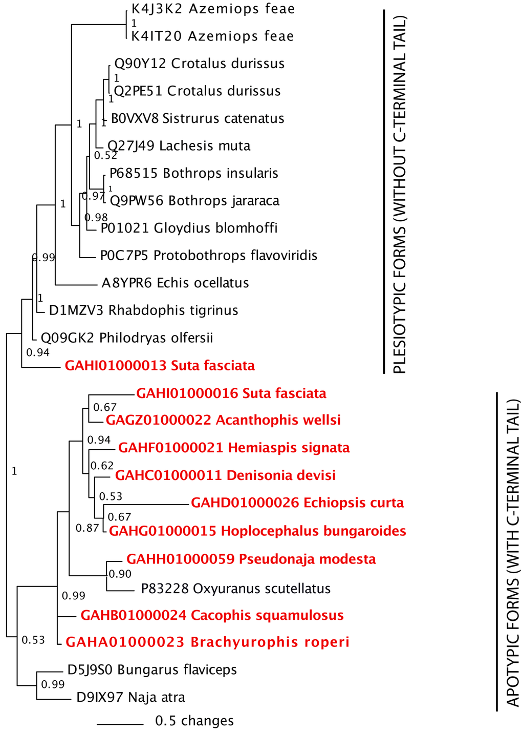 Toxins 05 02621 g009 1024