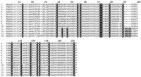 Toxins 05 02621 g010 200