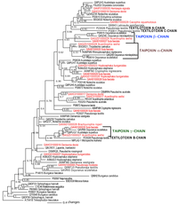 Toxins 05 02621 g011 200