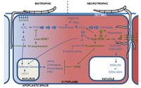 Toxins 06 00001 g001 200