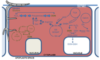 Toxins 06 00001 g002 200