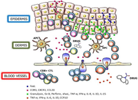 Toxins 06 00194 g001 200