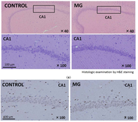 Toxins 06 00254 g003 200