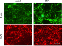 Toxins 06 00270 g001 200