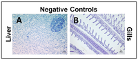 Toxins 06 00283 g001 200