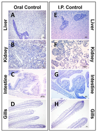 Toxins 06 00283 g002 200