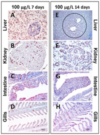 Toxins 06 00283 g007 200