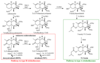 Toxins 06 00325 g002 200