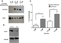 Toxins 06 00464 g007 200