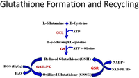 Toxins 06 00608 g001 200
