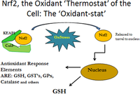 Toxins 06 00608 g002 200