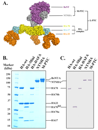 Toxins 06 00624 g001 200