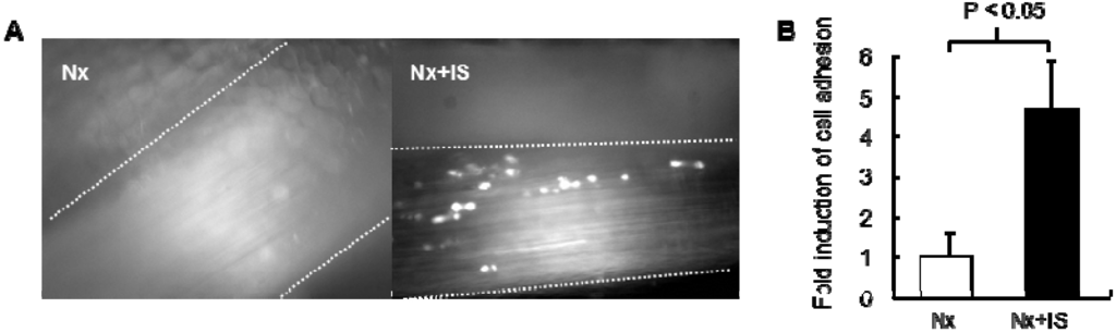 Toxins 06 00665 g001 1024