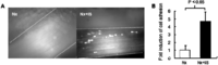 Toxins 06 00665 g001 200