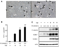 Toxins 06 00665 g002 200